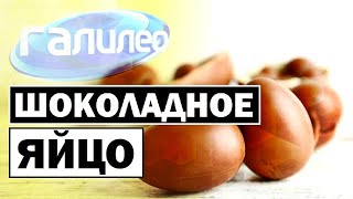 Галилео | Шоколадное яйцо 🍫🥚 [Chocolate egg]