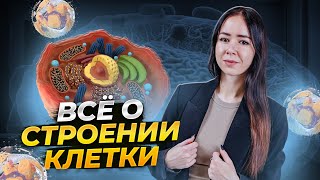 Строение клетки для ЕГЭ за 50 минут!