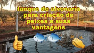 uma grande vantagem de criar peixe em tanque de alvenaria 🐟🐟#águaaquecida