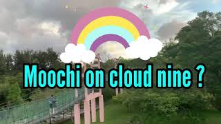 [Moochi’s Vlog] Moochi on cloud nine?