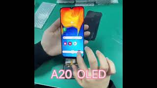 OLED TEST | A20 OLED for phone