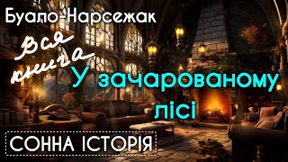 У зачарованому лісі / Вся книга / Буало-Нарсежак