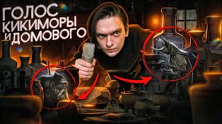 Я ЗАПИСАЛ ГОЛОС КИКИМОРЫ И ДОМОВОГО У СЕБЯ ДОМА! | Игры со страхами