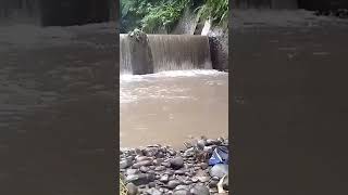 Strike Lagi Ikan Baung #shorts #mancingdisungai #desaku #ikanbaung