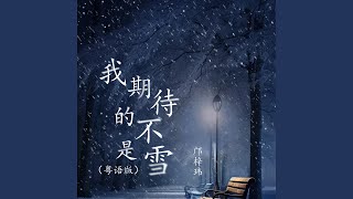 我期待的不是雪 (粤语版)