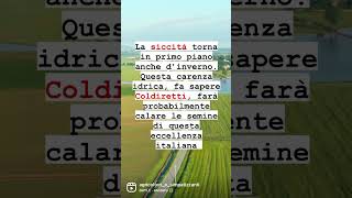 #agricoltura #risicoltura #riso #siccità #shorts #agricolturaitaliana