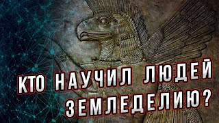 Загадка появления земледелия. Как оно пришло к людям? Цикл - "Тайны цивилизации". Андрей Буровский