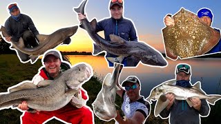 Why Have I Started This New YouTube Fishing Channel??