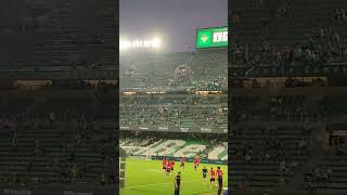 RCD Mallorca salta al terreno de juego del Villamarín! Betis-Mallorca. 23-09-24 #rcdmallorca