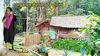 Siapa Gak Betah Coba !? DiSamping Rumah Reyot Kolam, Air Menggolontor