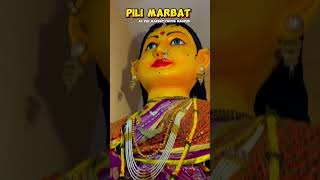 PILI MARBAT 2024 NAGPUR #marbat #nagpur #shorts #trending #viralreels #festival