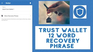 How to Locate 12 Word Recovery Phrase on Trust Wallet Mobile Application | Trust Wallet Tutorial