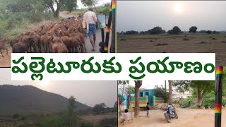 పల్లెటూరికి ప్రయాణం ll Telugu vlogs ll village travel vlog