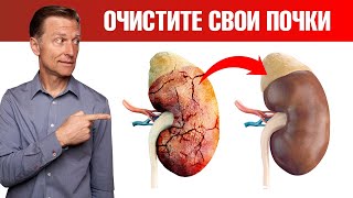 Детоксикация почек: необычный способ. Почему детокс почек так важен🤔