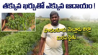 #Vaayuu #Yantra #Mirapa తక్కువ ఖర్చుతో ఎక్కువ ఆదాయం - పొదలకూరు, నెల్లూరు జిల్లా మిరప రైతు