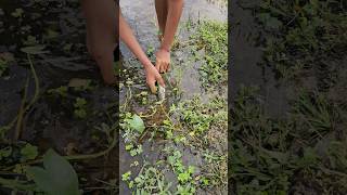 Real hand fishing a boy|#fishing