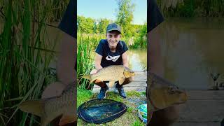 Releasing a 13lbs common carp!! #fishingvideo #carpangler #carpfishing #fish #fishing #fishinglife