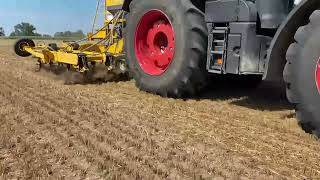 Hybrid seeding soya beans after wheat in Italy