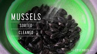 Karl's Curried Mussels