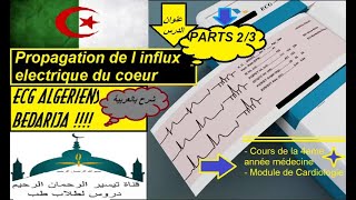 ECG ALGERIENS BEDARIJA 3.2 PROPAGATION DE INFLLUX ELECTRIQUE DU COEUR parts 2/3