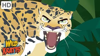 Creatures of the Caribbean | Monkeys, Sharks, Jaguars + more! [Full Episodes] Wild Kratts