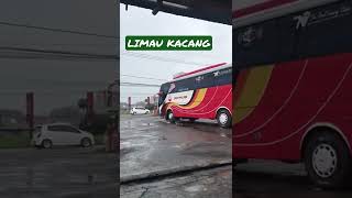 po.gumarang jaya bersama@limau kacang #shorts