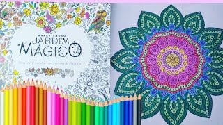 JARDIM MÁGICO | MOSTRANDO MEU LIVRO MARAVILHOSO JARDIM MÁGICO PARA COLORIR📚🖌