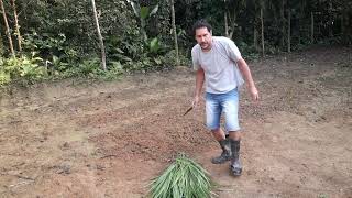 Fui na chacara cortar capim para os coelhos