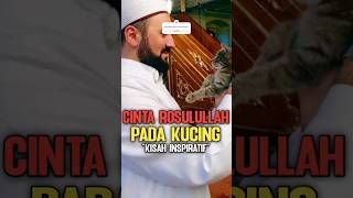 Kisah Cinta Rasulullah SAW dengan Kucingnya #rosullah #cintahewan #kucing