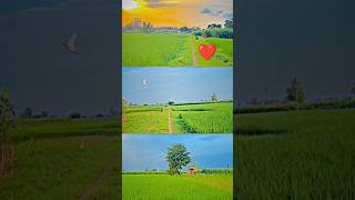 3 Layer Video| 3 Layer Video Editing| Instagram 3 Layer Video kaise banaen | 3 Layer farming video