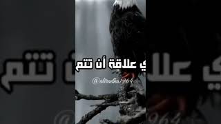 مقوله جميله الاحترام