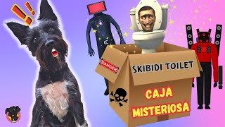 ¡CAJA MISTERIOSA! Skibidi toilet 💩 Lana