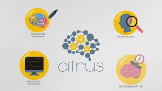 EU Project CITRUS: Closed-loop Individualized image-guided Transcranial Ultrasonic Stimulation