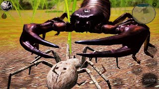 Spider VS Scorpion | Ultimate Spider Simulator 2