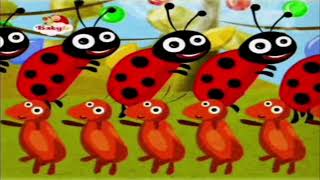 babytv wooly and the dance partya