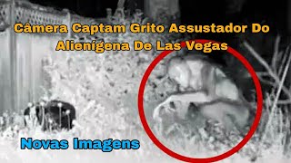 CÂMERA CAPTA GRITOS ASSUSTADORES DO ALIENÍGENA DE LAS VEGAS APÓS A QUEDA DO OVNI GRAVAÇÃO INÉDITA