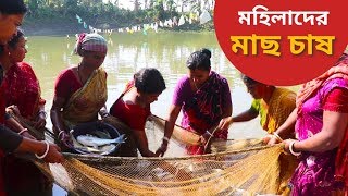 গ্রাম বাংলার মহিলাদের মাছ চাষ | মহিলাদের মাছ ধরা | Harvesting Fish By Fisherwomen Of Rural India