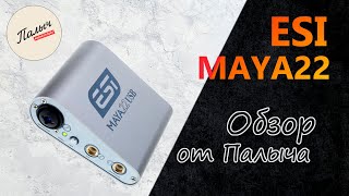 ESI MAYA22 USB - АУДИОИНТЕРФЕЙС USB 2×2 (АНАЛОГ)  ||  Обзор от Палыча