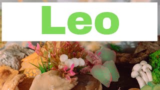 LEO OCTOBER 2023 ⚠ INSTANT WARNING!! BE PREPARED FOR WHAT IS COMING!! 🌈🌈