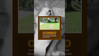 Combo #youtubeshorts #shortvideo #shorts