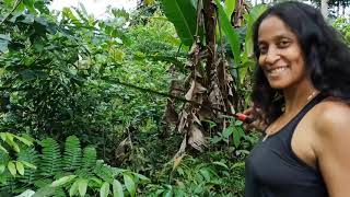 The Joy of Harvesting at Peaceful Village Raw Vegan Healing Community