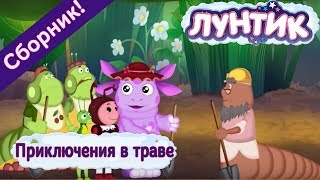 Лунтик 🌼 Приключения в траве 🌼 Сборник мультфильмов 2017