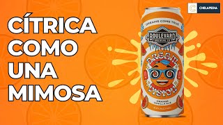 Cerveza Dream vision. Una cerveza que sabe a MIMOSA?