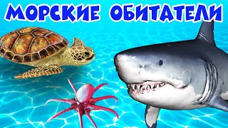 Обитатели морей и океанов 🐠 Развивающие мультики 🐟 Морские животные 🐬 Подводный мир