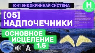 0405🐬 Надпочечники 🔊 ГЛУБОКОЕ Исцеление и Омоложение