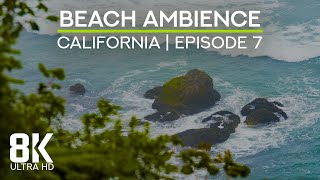 Wild Beach Soundscape of the Pacific Ocean - 8K Scenic View to Enderts Beach, California - Episode 7