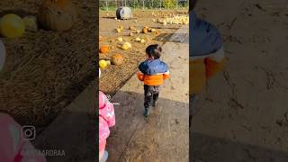 🎃PUMPKIN PICKING #pumpkinpicking #pumpkin #familydayout #wetandmuddy #interracialfamily #comewithus