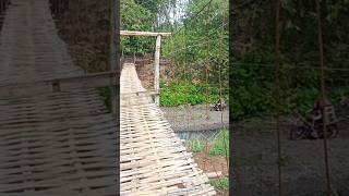 Jembatan Gantung Menuju Ladang Babatan Hutan Jati