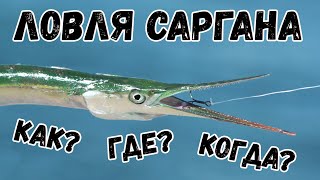 КАК ЛОВИТЬ САРГАНА. Топ 3 проводки ПИЛЬКЕРА. Время и место.  Рыбалка на море!