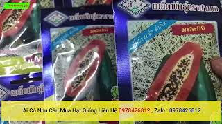 hạt giống đu đủ phunket nhập khẩu thái lan chính hãng ai cần liên hệ 0978426812